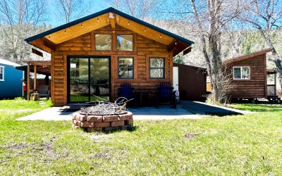 FE7B7441-3AAC-49F2-9520-F11D7A8E8969_1_201_a FE7B7441-3AAC-49F2-9520-F11D7A8E8969_1_201_a